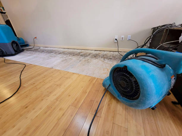 Reliable Basement Flood Cleanup contractor in Austin, AR by Hirex Water Damage