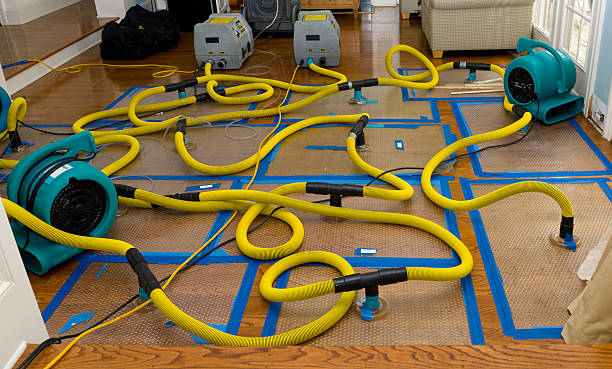 Professional Basement Flood Cleanup technician working in Austin, AR